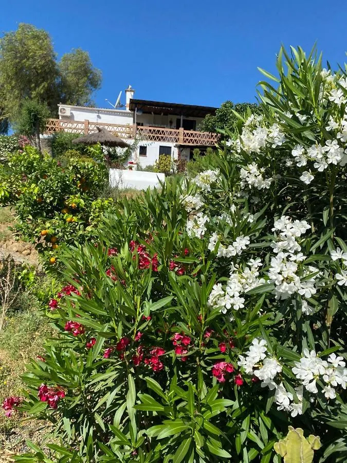 Bed & Breakfast B&B Finca Alegria De La Vida Pizarra Spain